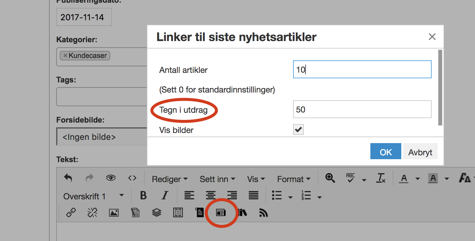 Skjermdump som viser hvordan man legger inn lister av artikler.