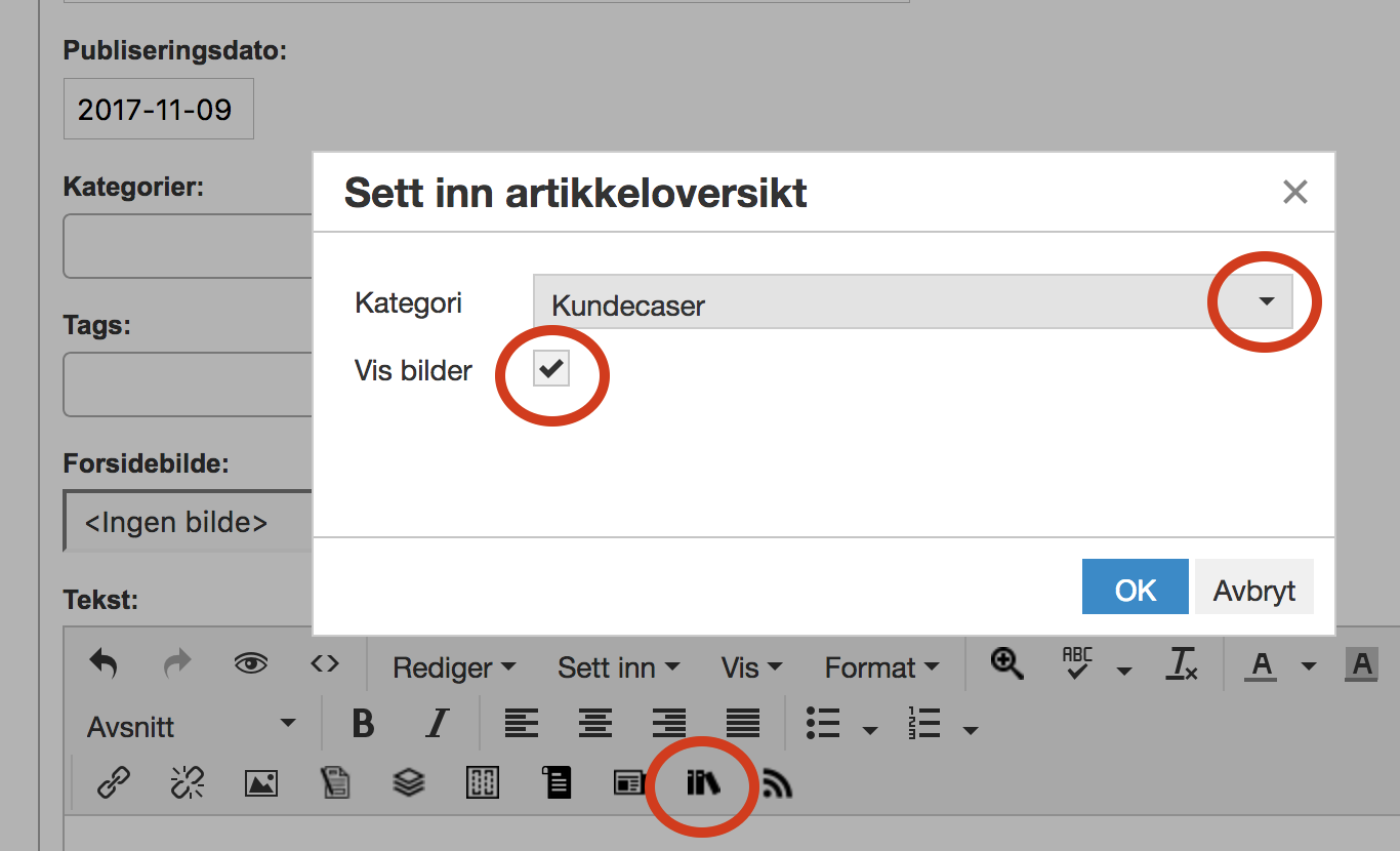 Skjermdump. Liste over artikler.