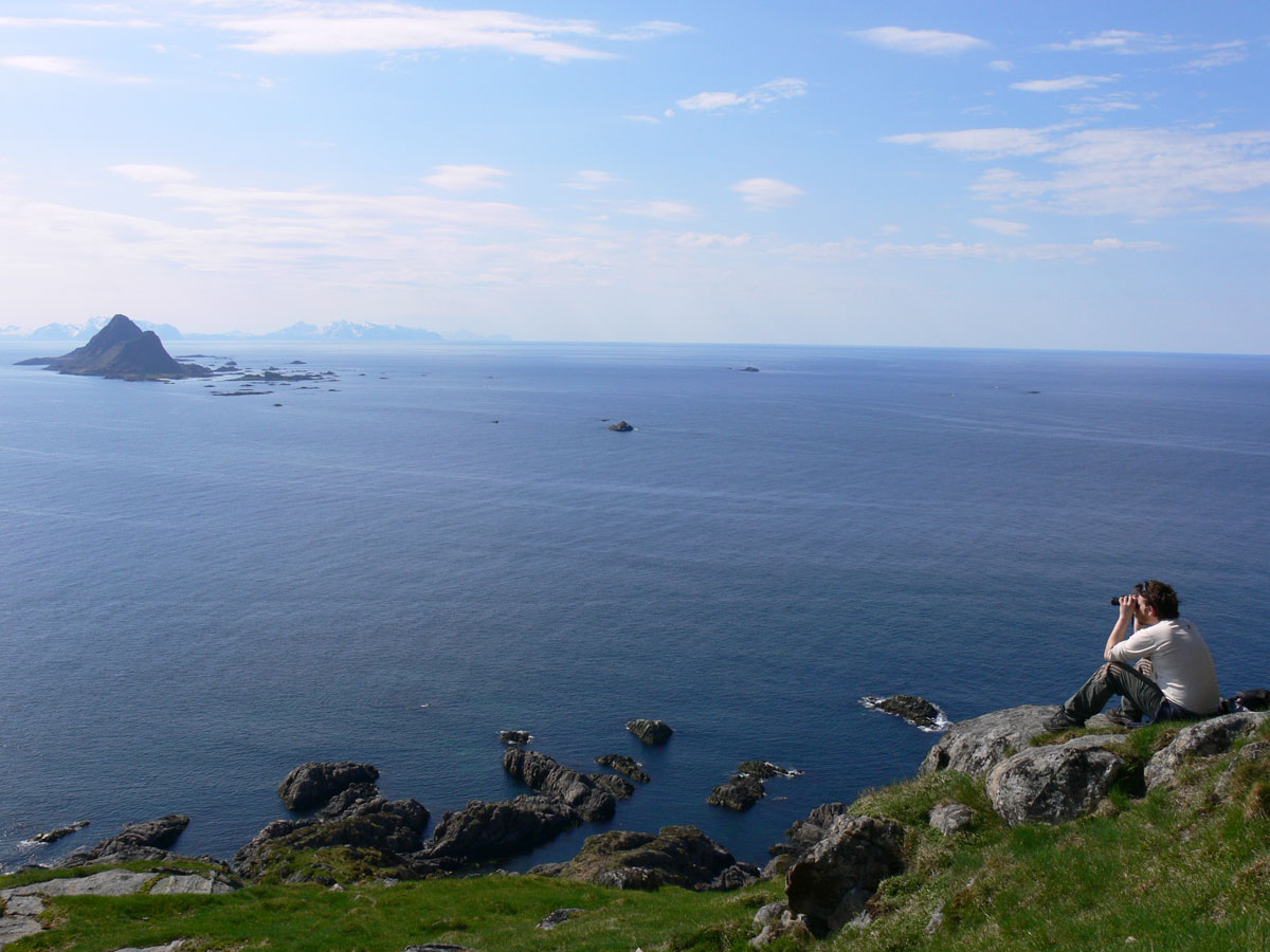 Banner Image 1