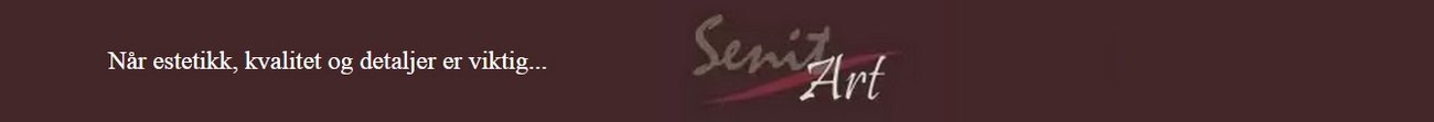 Senit Art - til nettsiden Senit Art - logo