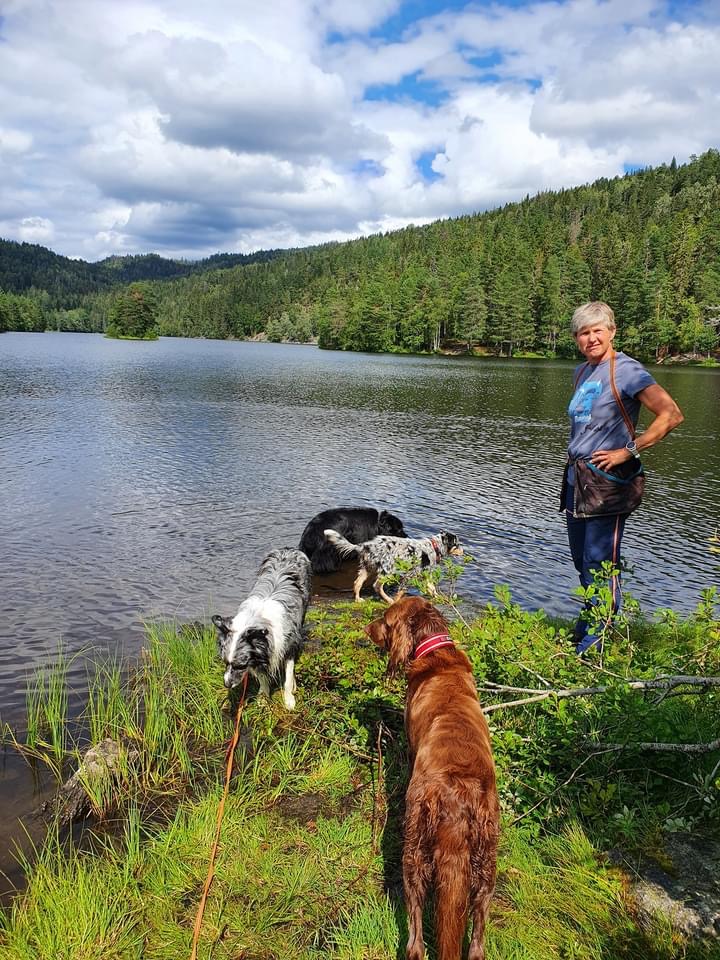 Hundelufter med hunder ved skogssjø i Bærum