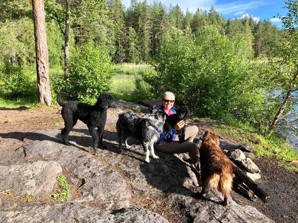 Cleo, Extra, Ayva og Brownie – hunder hos Hundelufter'n i Bærum