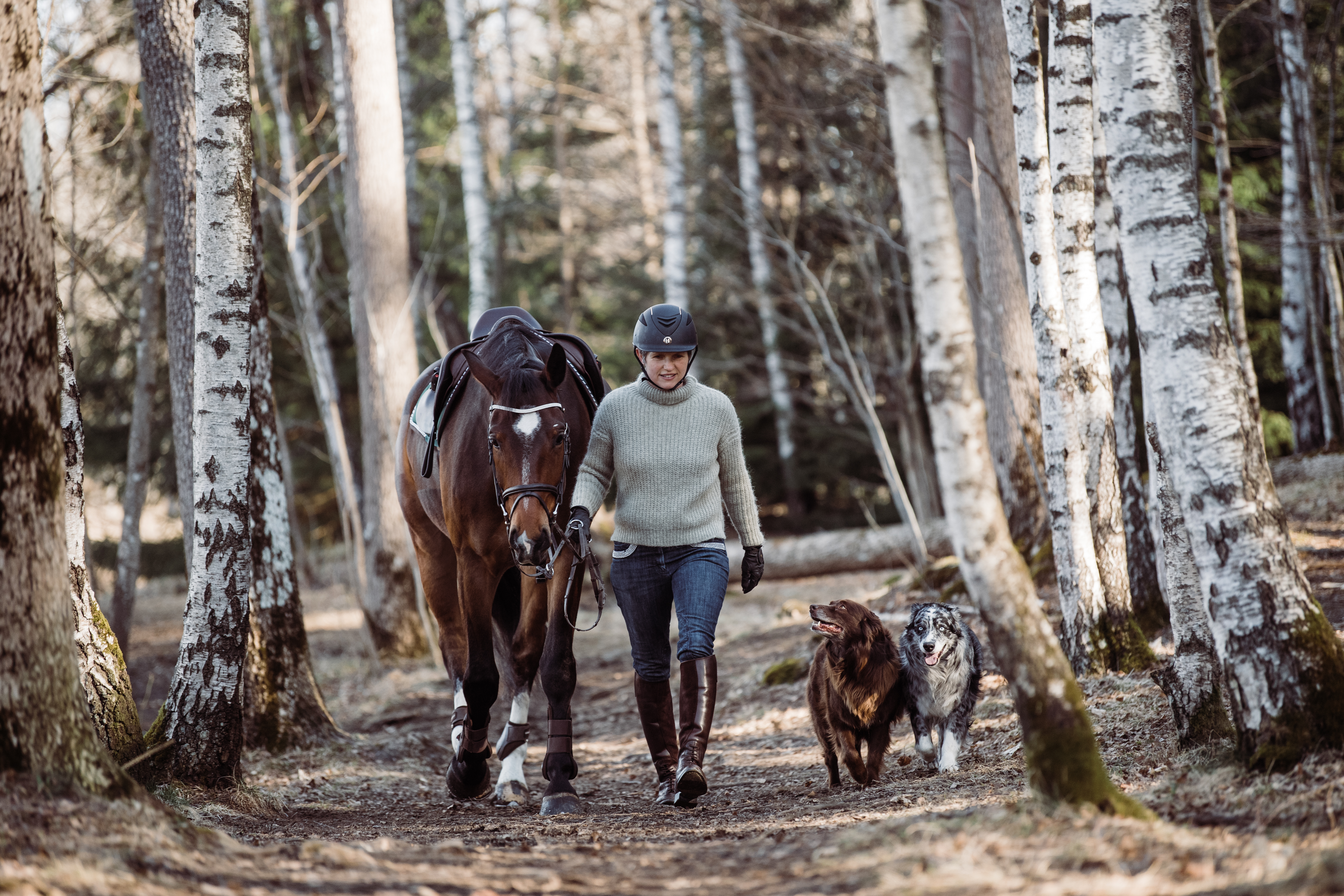 Anne Cathrine – hundelufter i Bærum, med hest og hunder i birkeskogen