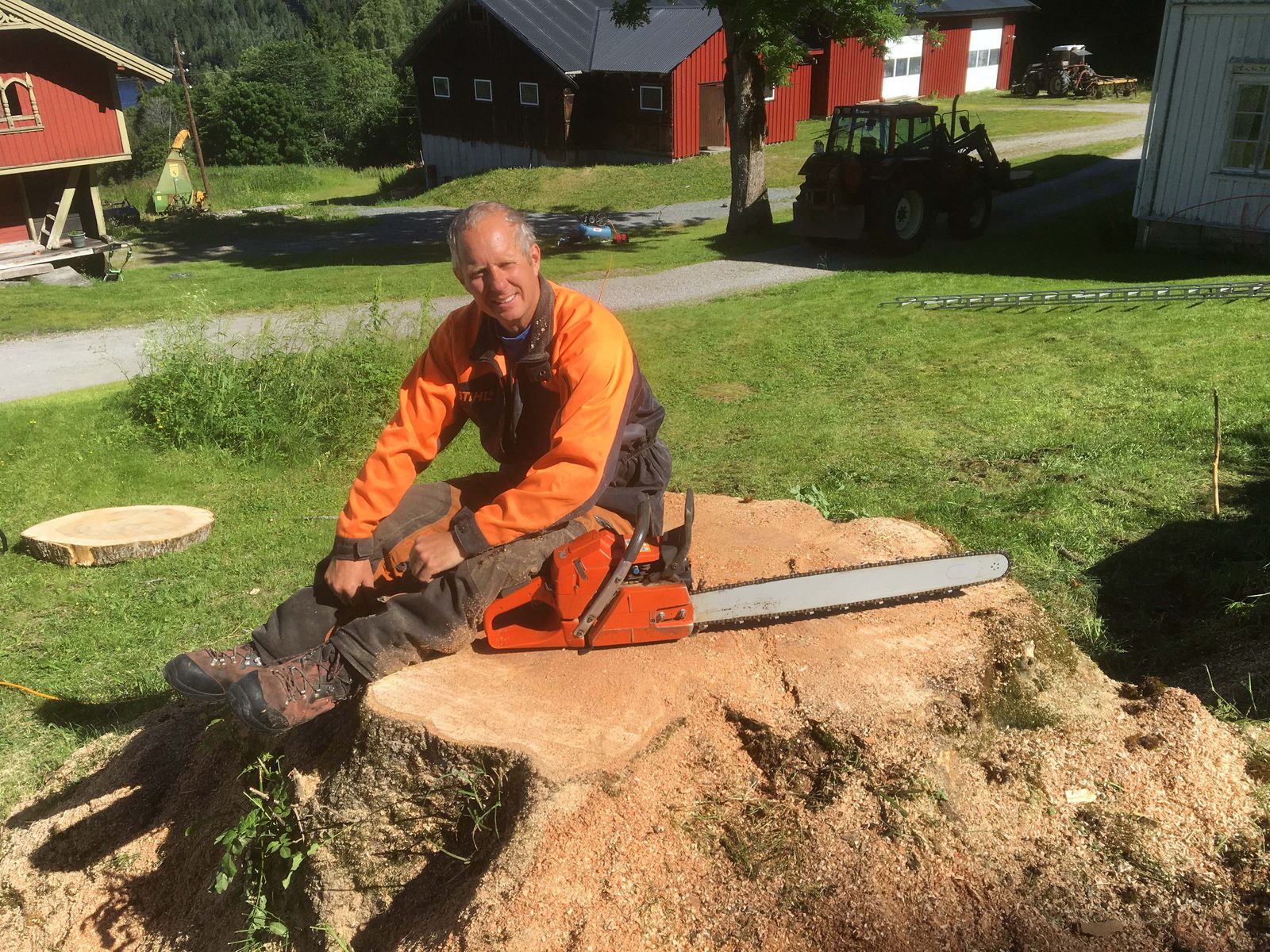 Jan Anders Haugland med motorsag på stor stubbe