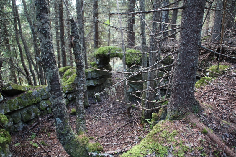Bergemellom