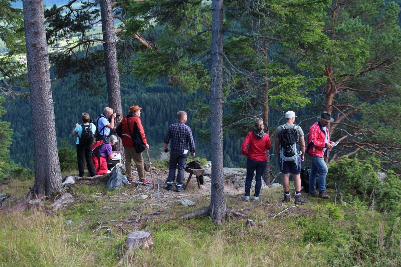 Tålåkampen ved Vang