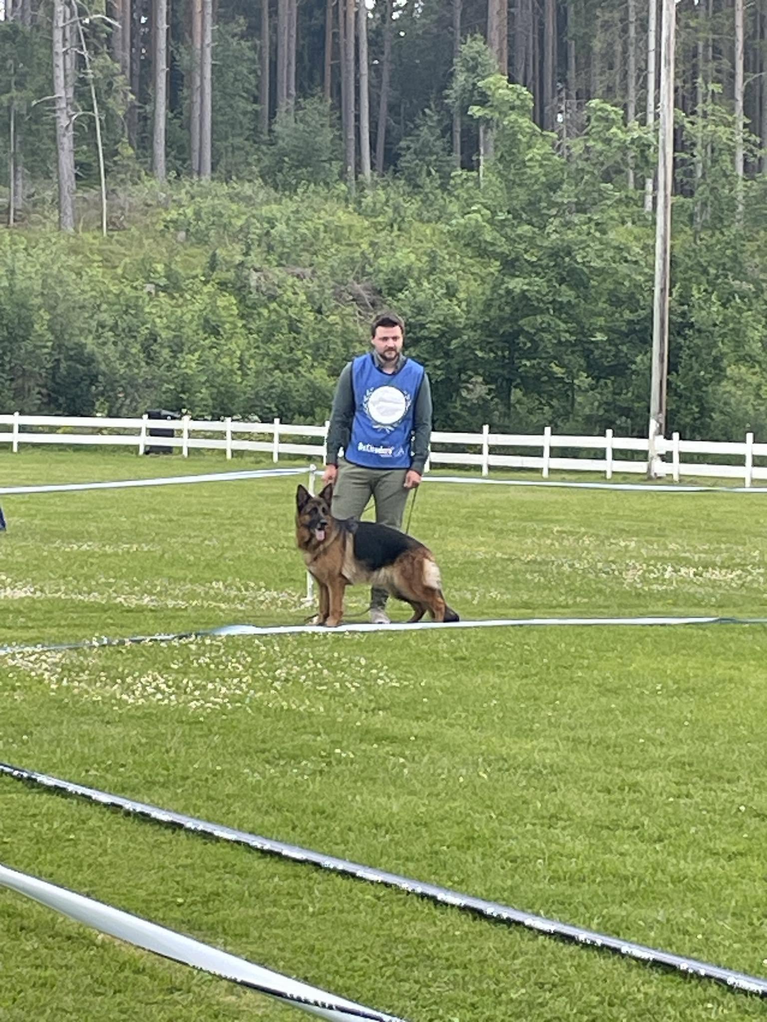 Schæferhund fra Kennel Hus Ymir