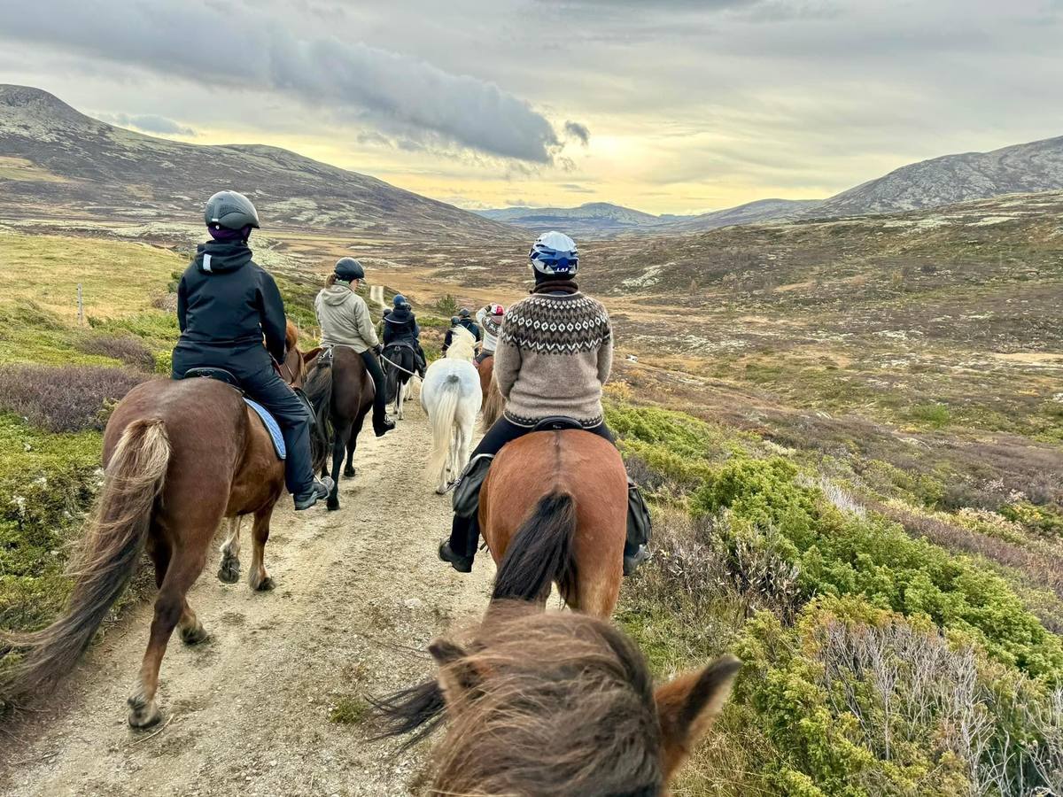 Ryttere på islandshest på sti i fjellet