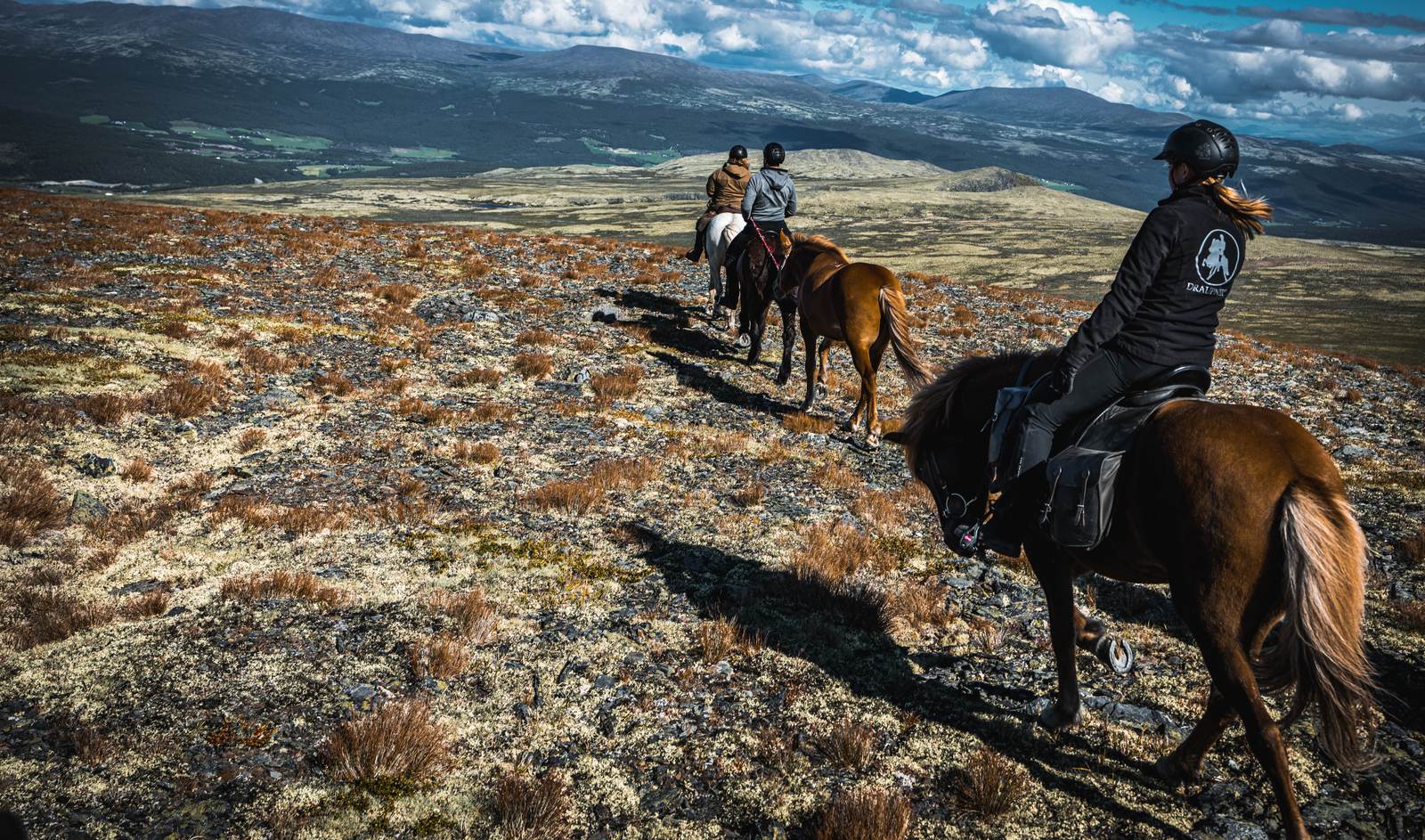 Rytter på islandshest på vidda i Rondane