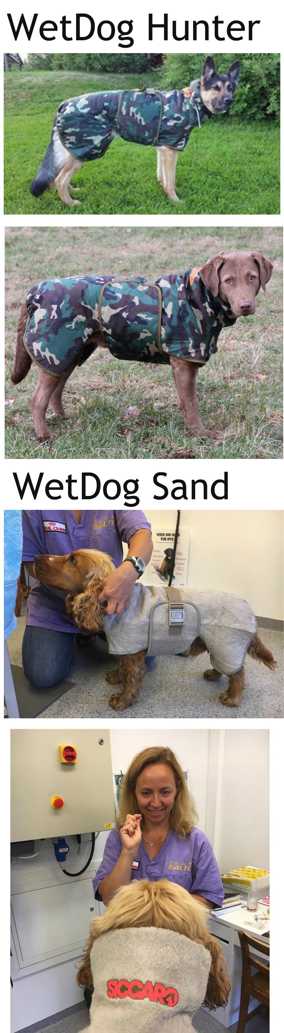 Katja Petrell holder kurs om hundemassasje