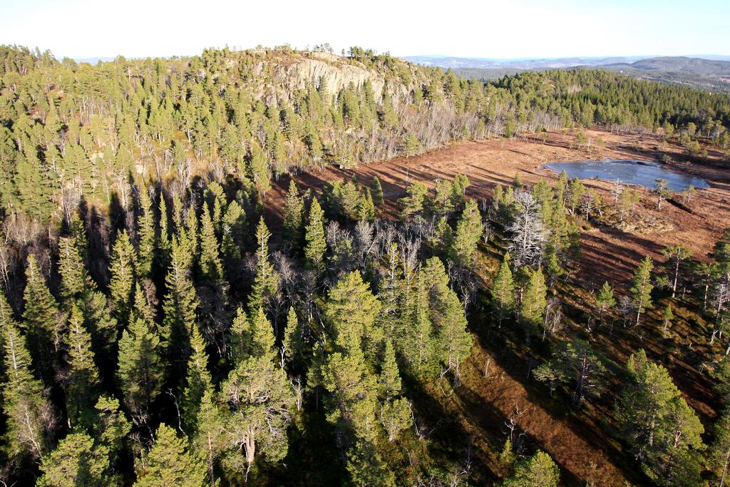 Utsikt mot Oksberget og Okstjønna fra tomt nr. 20
