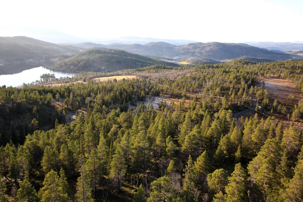 Grønlia hyttefelt i lia ovenfor Frilsjøen