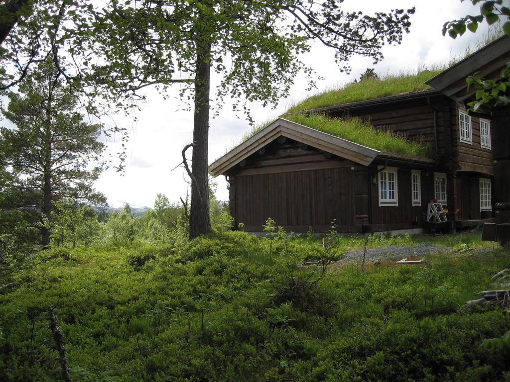 Utsikt mot Trollheimen fra hyttefeltet i Grønlia