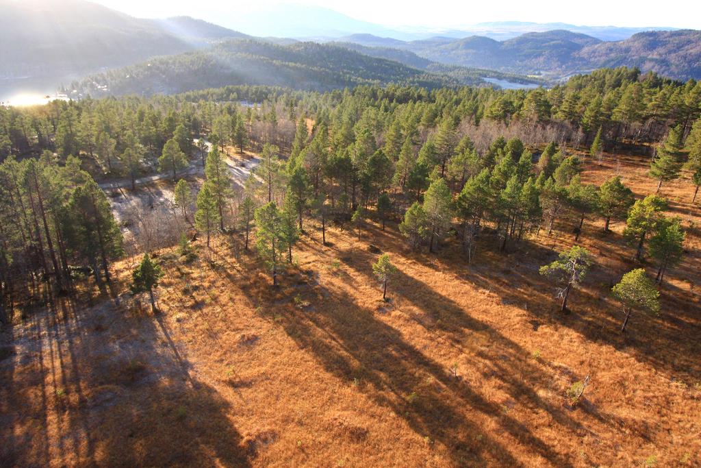 Allsidig natur i Meldal