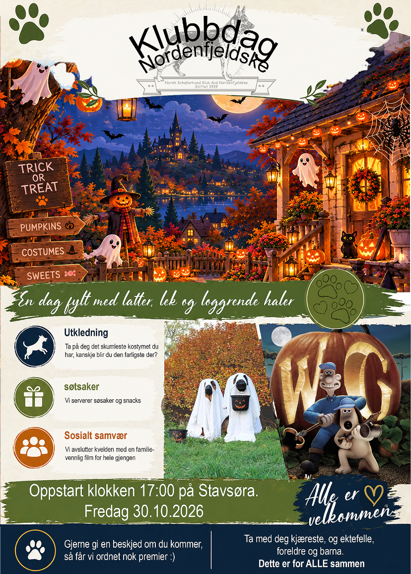 Halloween – NSchK avd. Nordenfjeldske