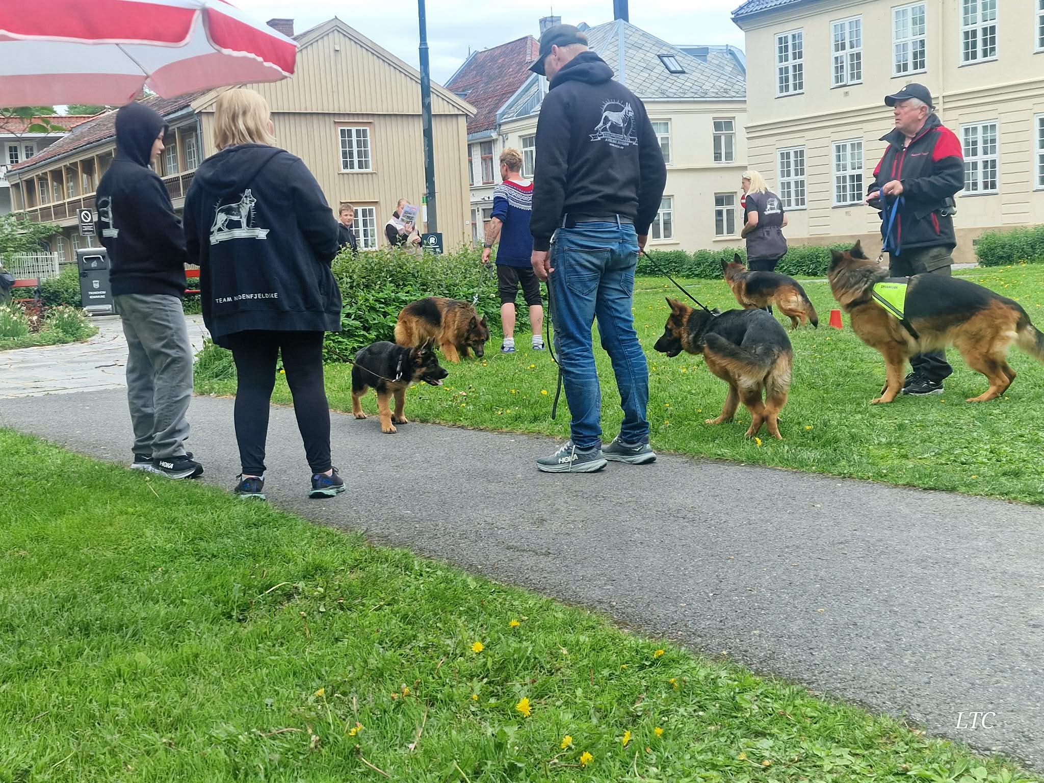 Sosialisering og moro