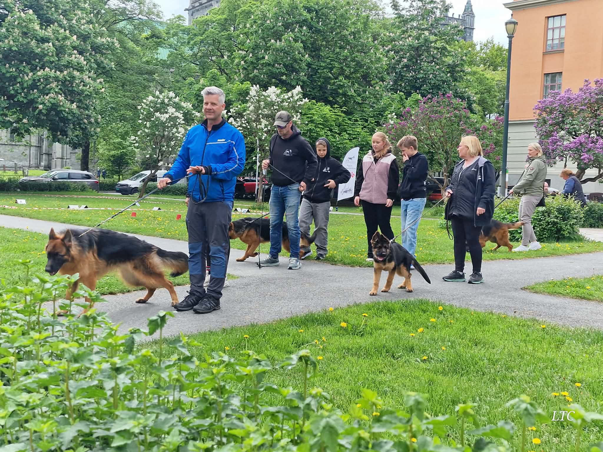 Pause og hvile