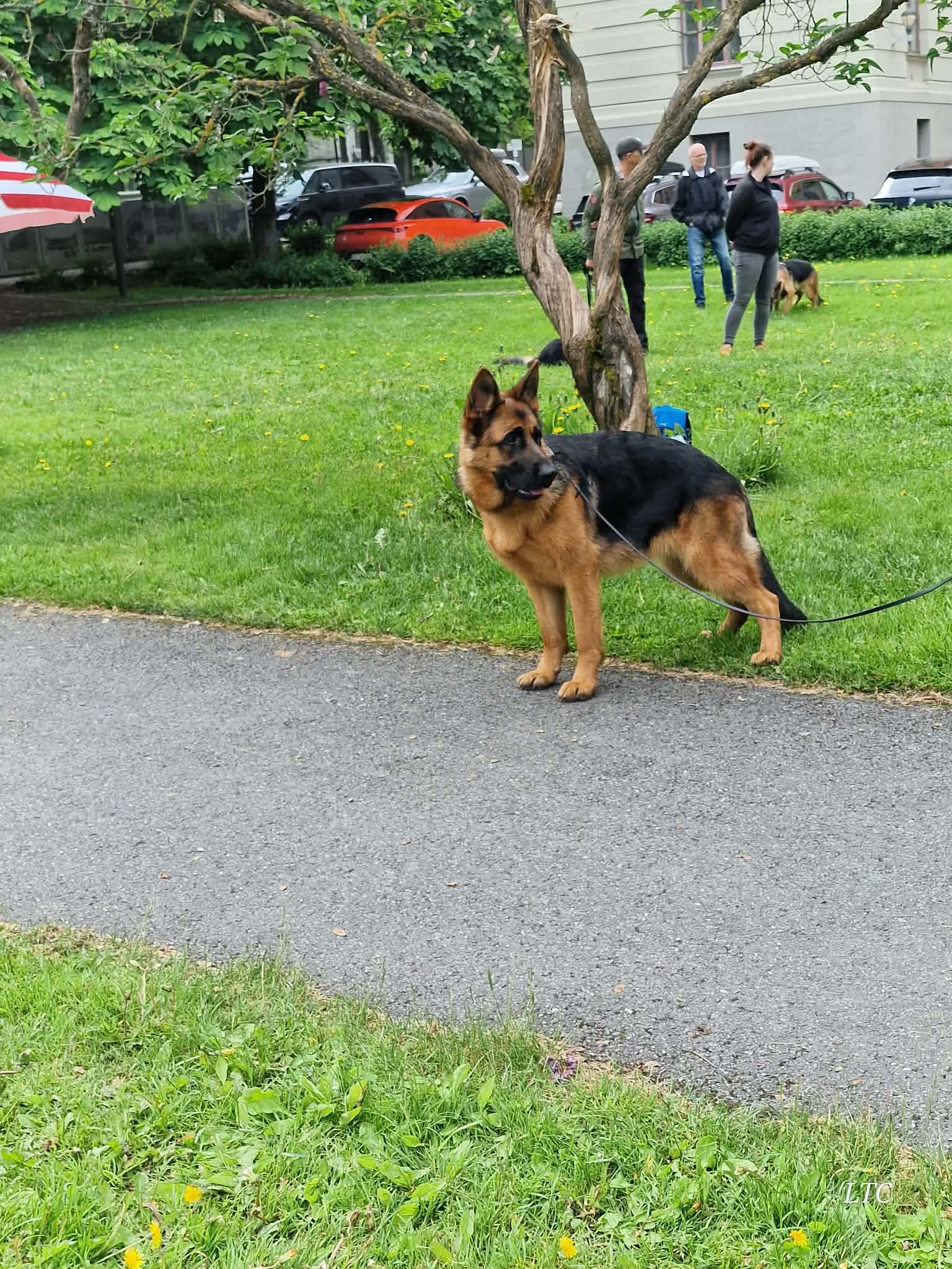 Konkurranser og premier