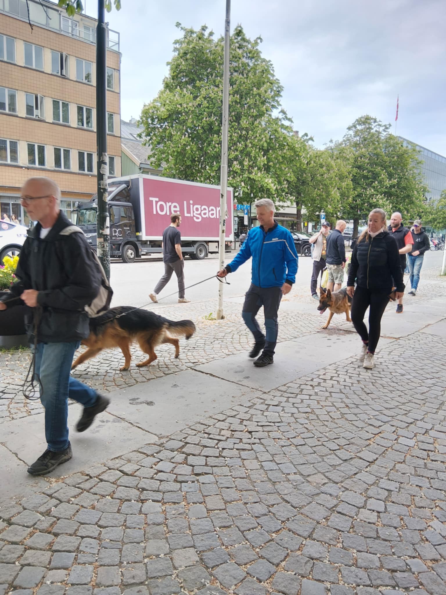 Eiere deler erfaringer