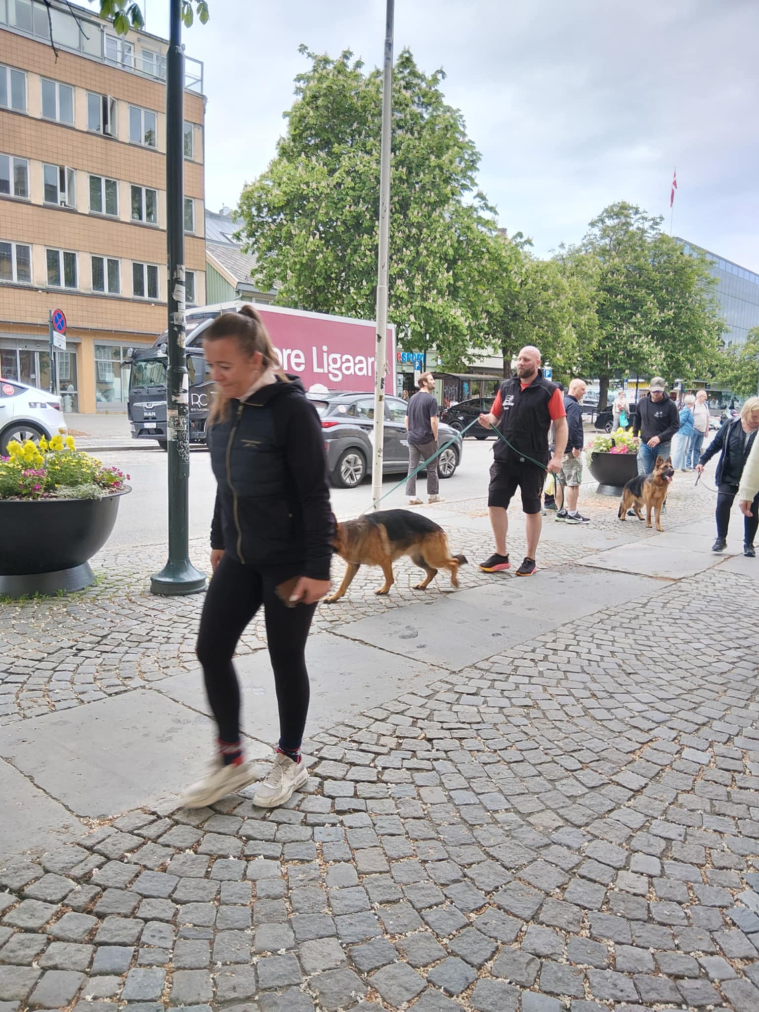Takknemlige hundeeiere