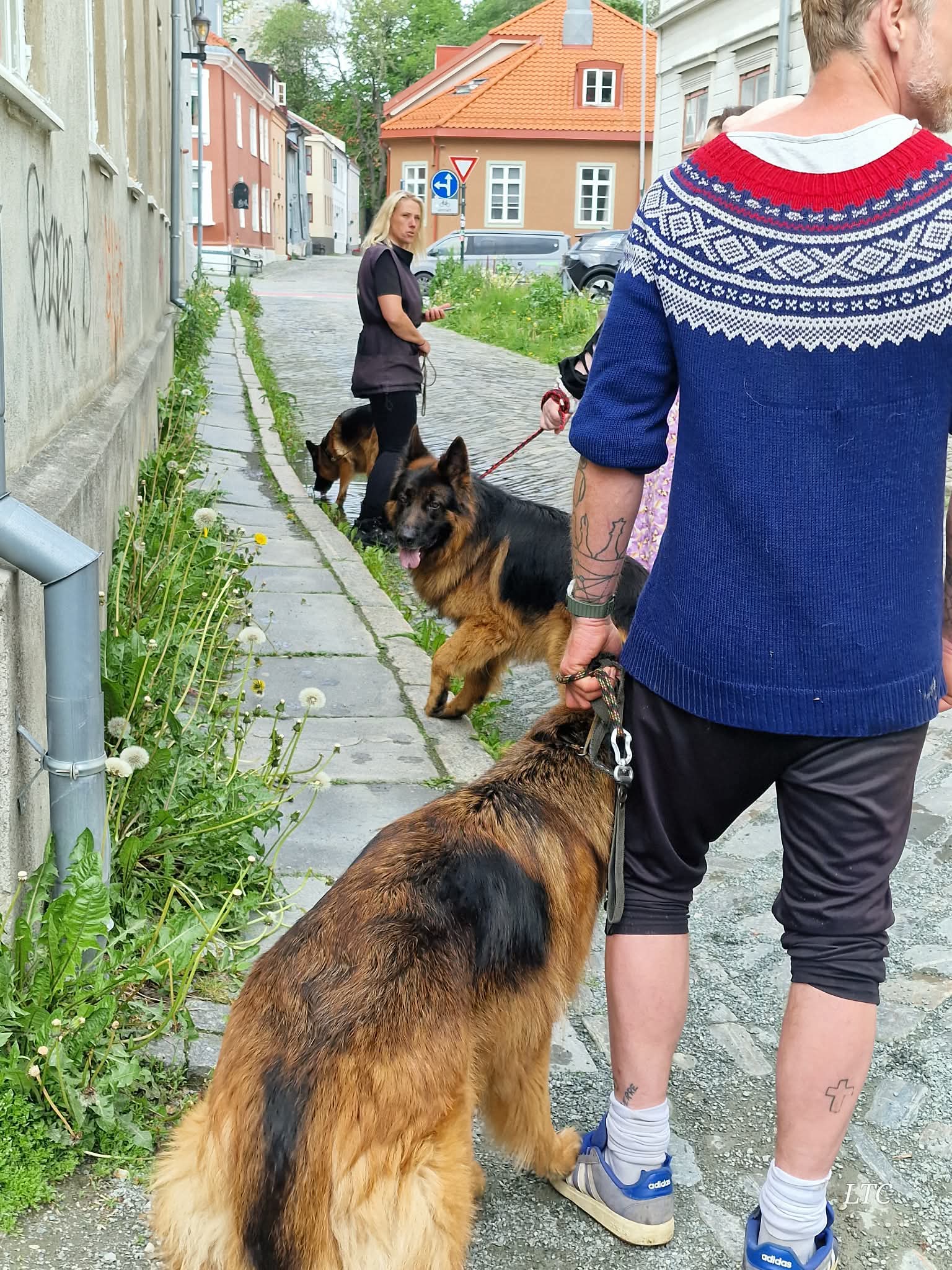 Siste samling