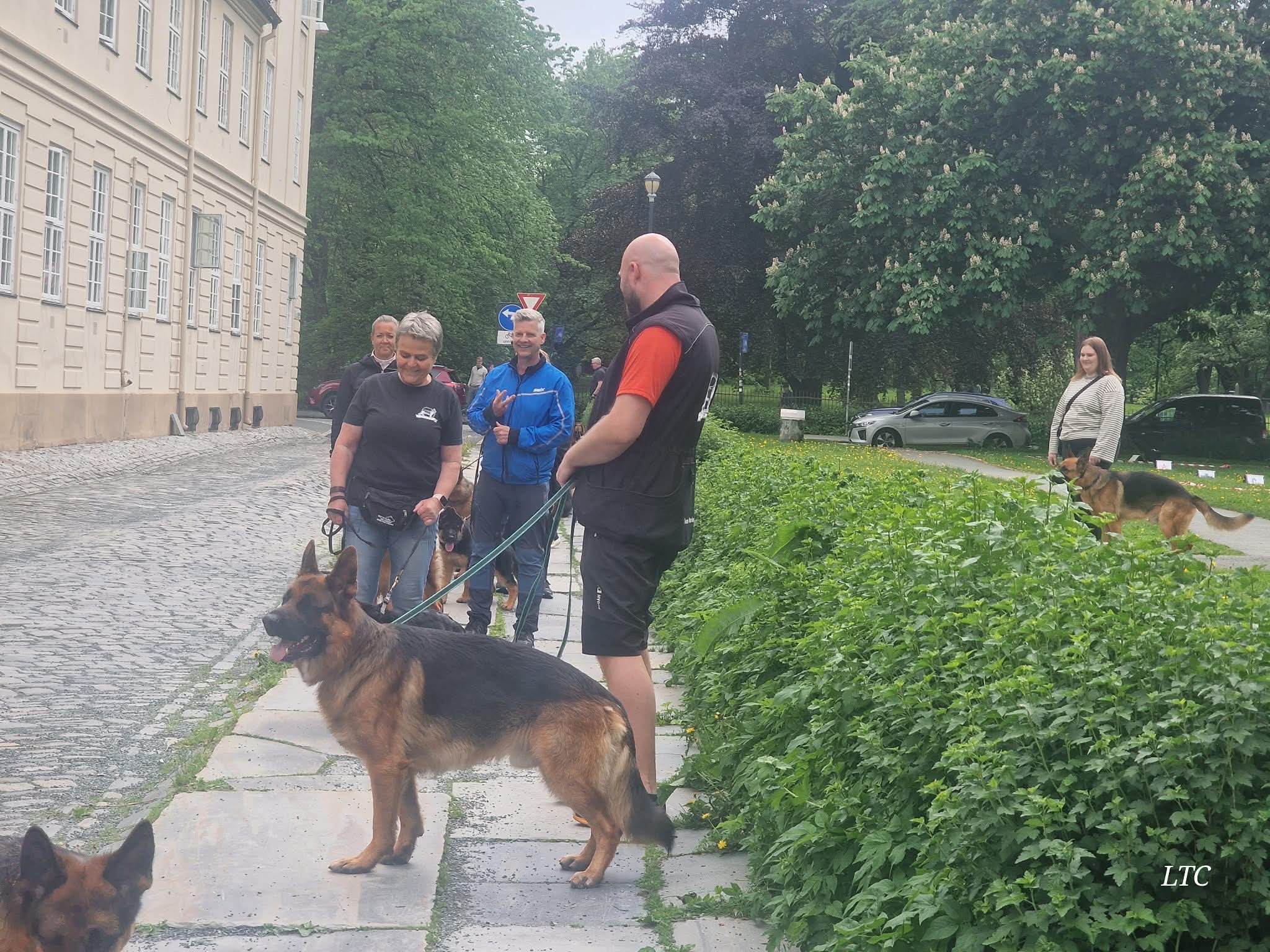 Avskjed og farvel