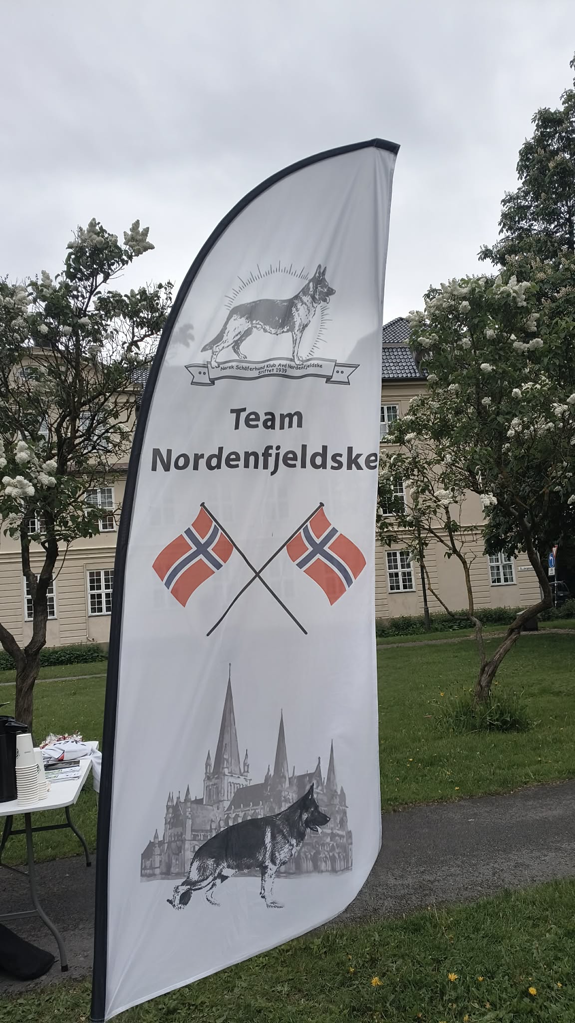 Sæferhunder på tur gjennom byen