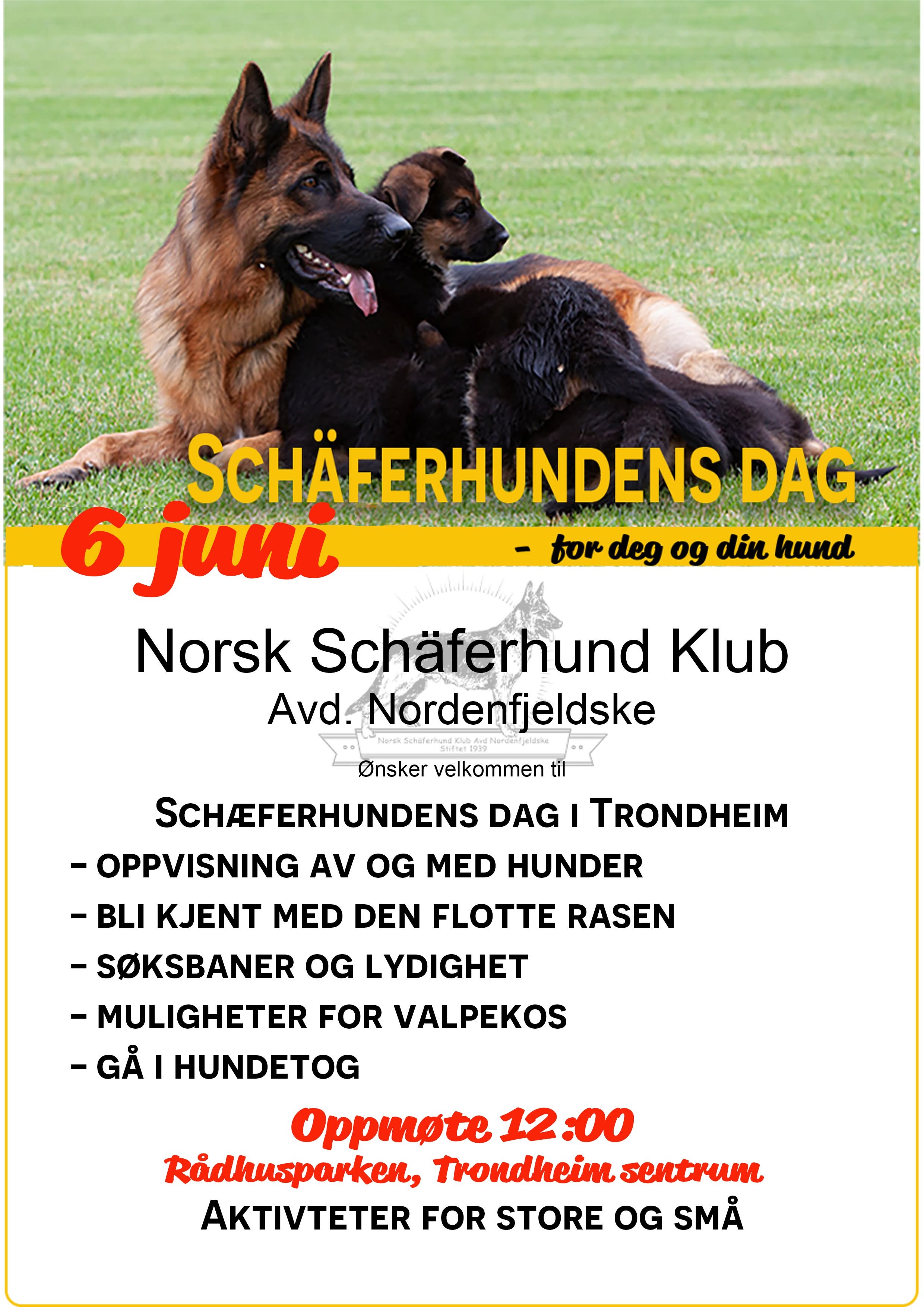 Schäferhundens dag 06.juni 2026