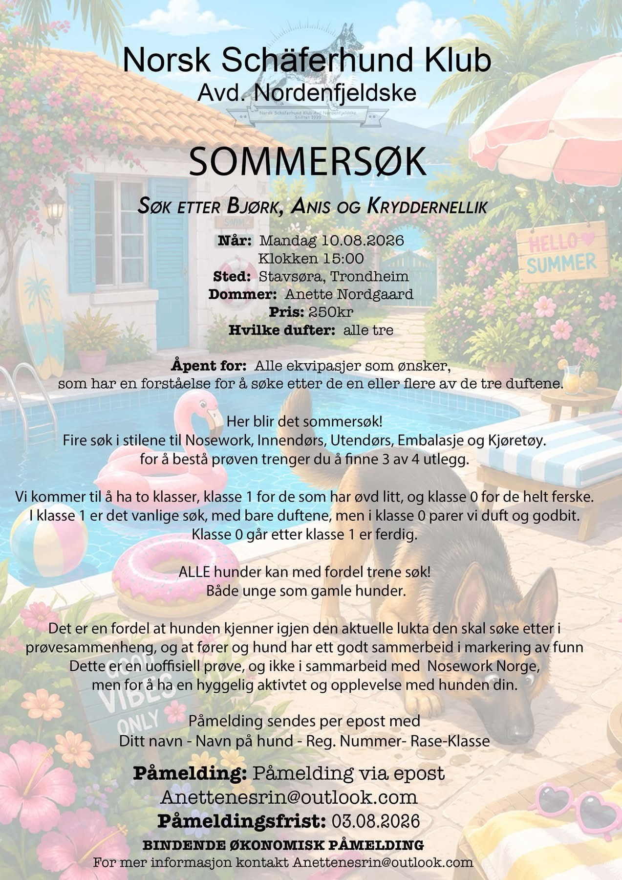 Sommersøk