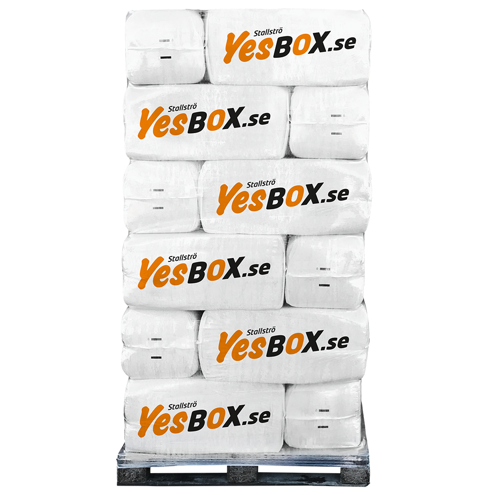 Pall med YesBox sponballer