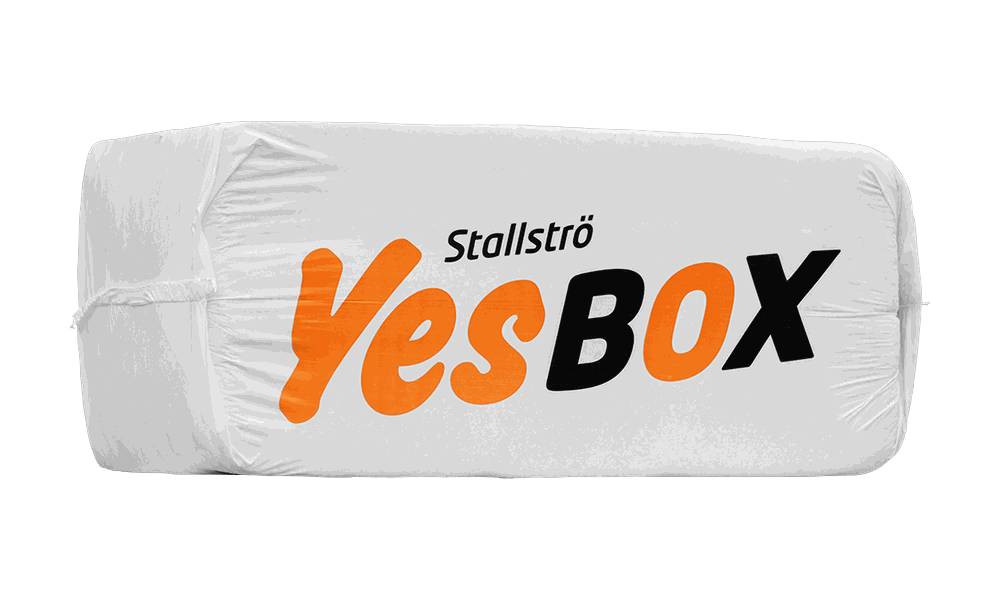 Sponballe YesBox Standard