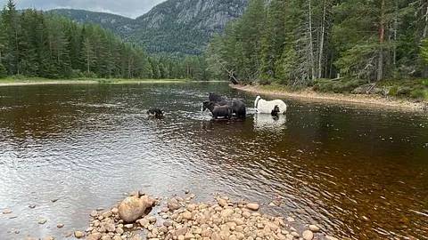 Aktiviteter i Fyresdal