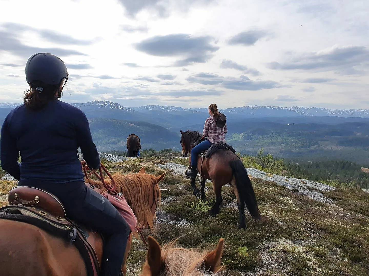 Hest i naturskjønne omgivelser i Fyresdal, Telemark