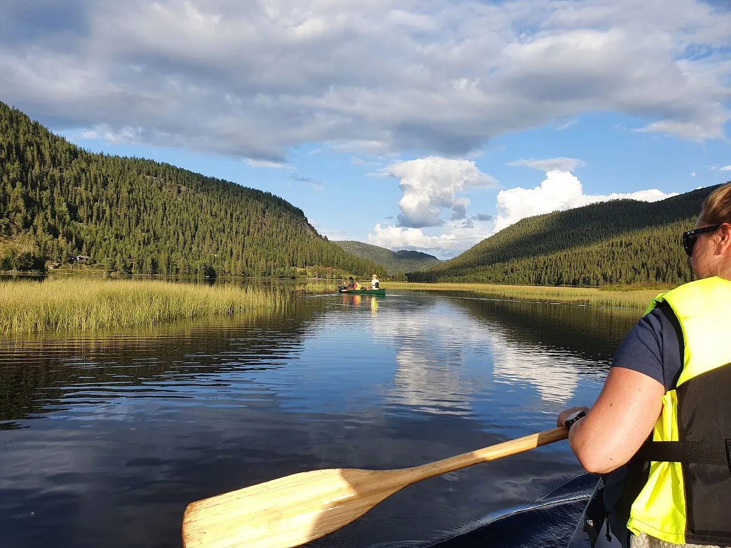 Jakt og fiske i Telemarks natur