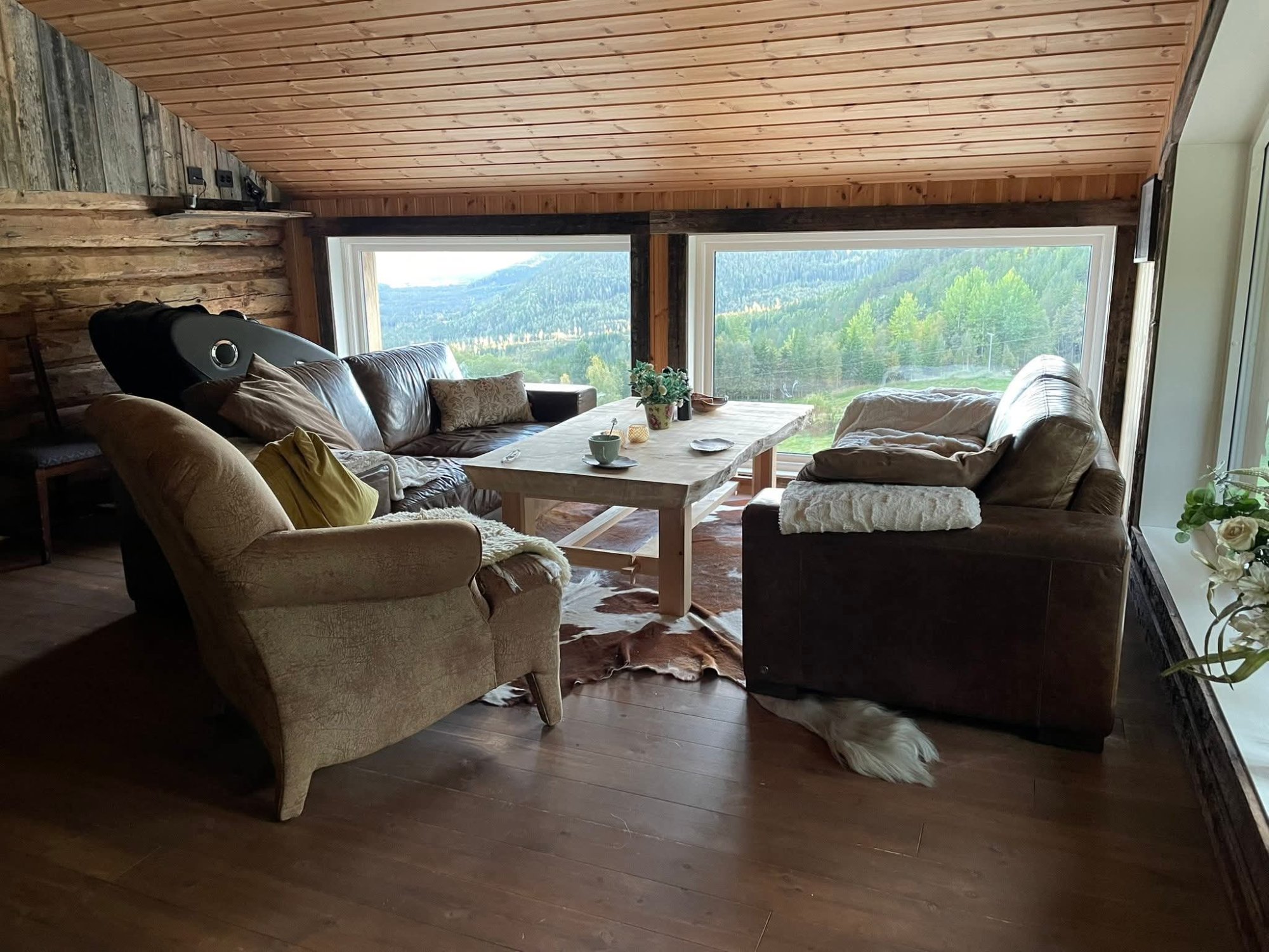 Panoramaleiligheten stue – sofagruppe med panoramavinduer og utsikt over den grønne dalen i Fyresdal