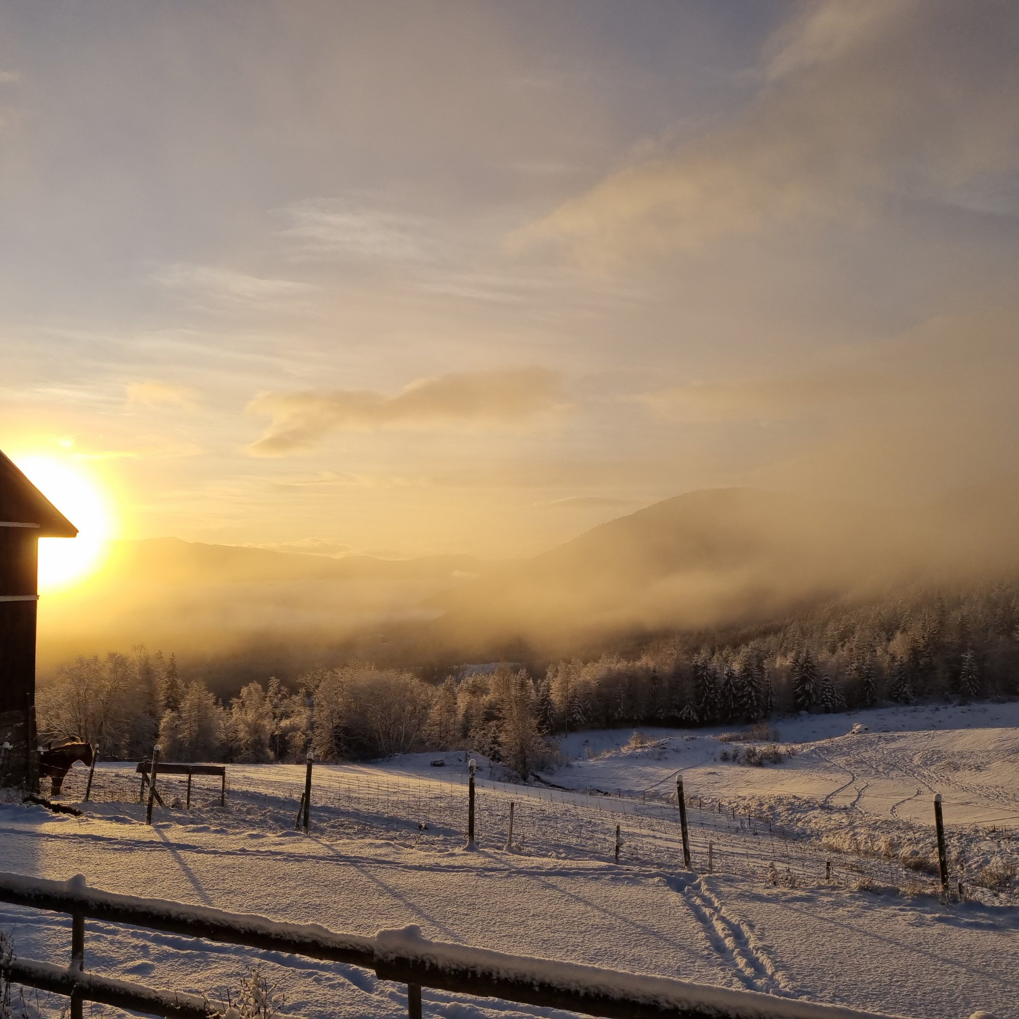 Panoramaleiligheten utsikt – gyllen soloppgang over snødekt vinterlandskap i Fyresdal med tåkeskyer over åsene