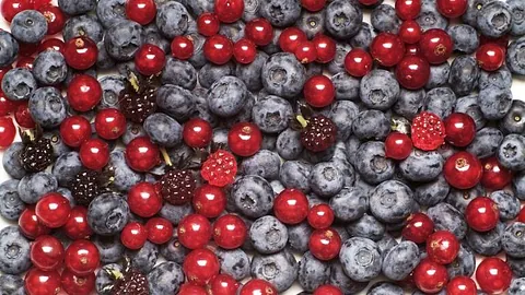 Hvorfor naturbarnehage?