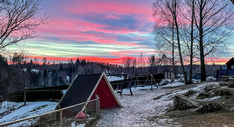 Barn leker fritt i naturen