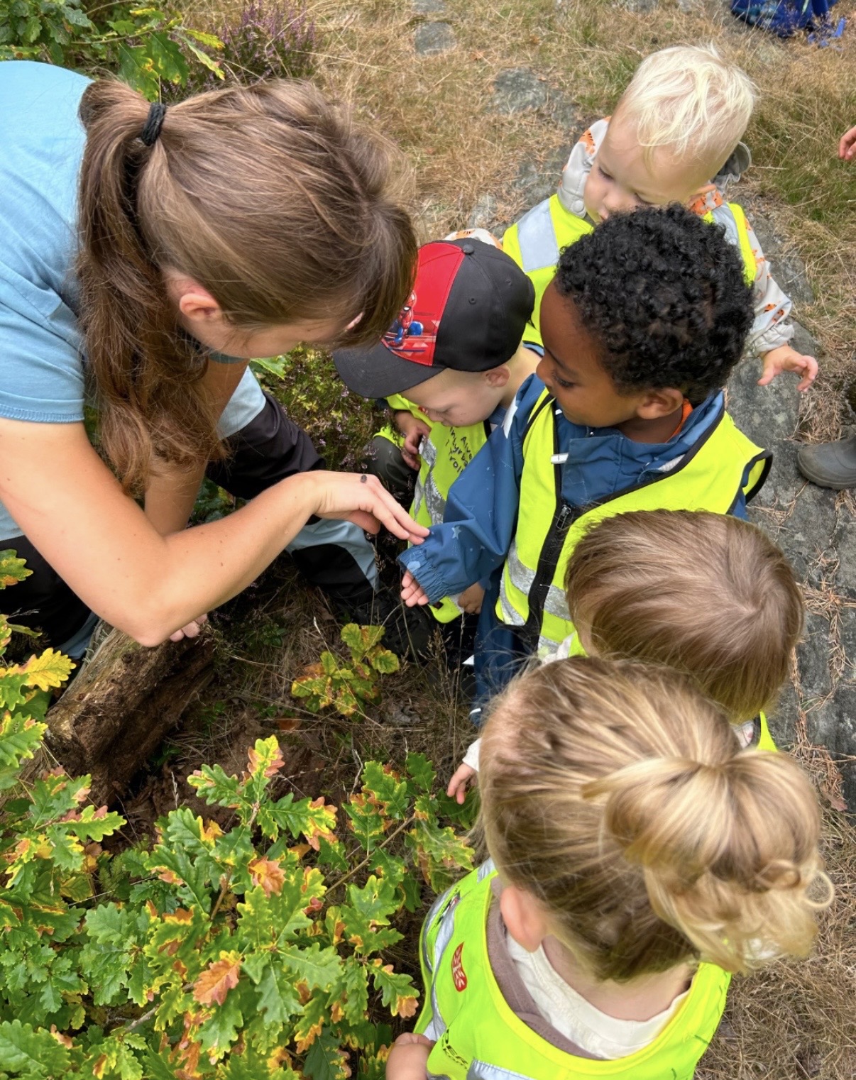 Barn og voksen observerer krypdyr i naturen