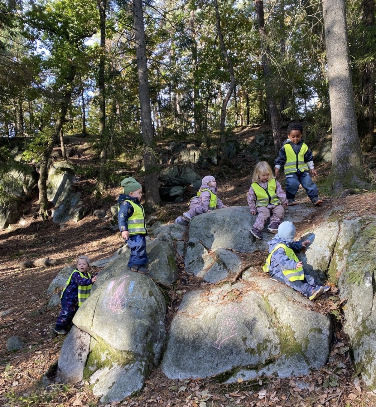 Barn klatrer og utforsker på steiner i skogen