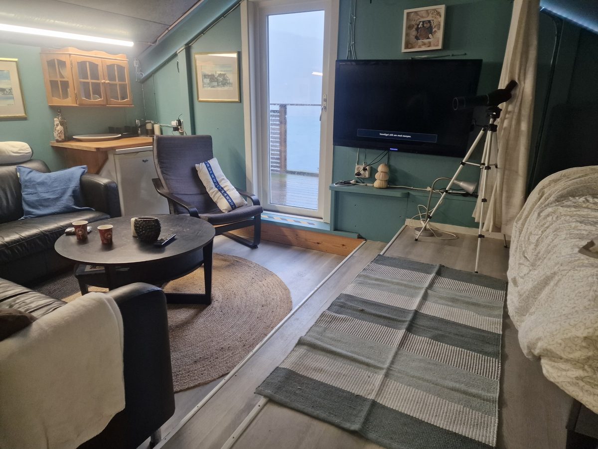 Oppholdsrom med sofa og utsikt mot sjøen
