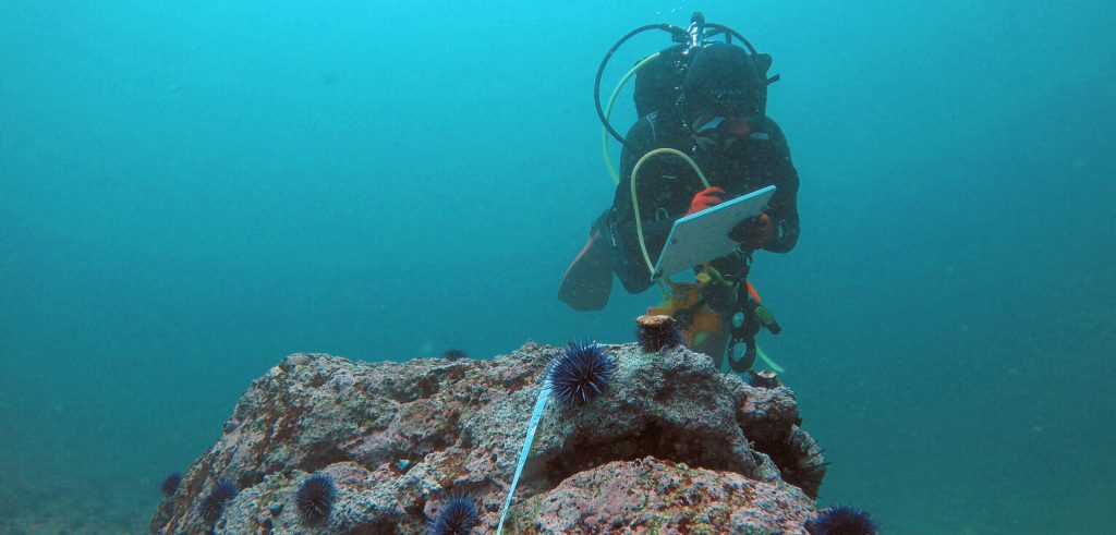 Marinbiologi-safari for barn og unge med SubSea Lister