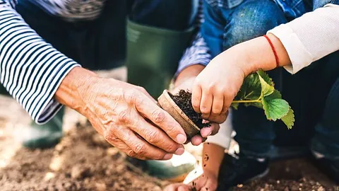 Myndigheter og politikere – Senior Aktiv