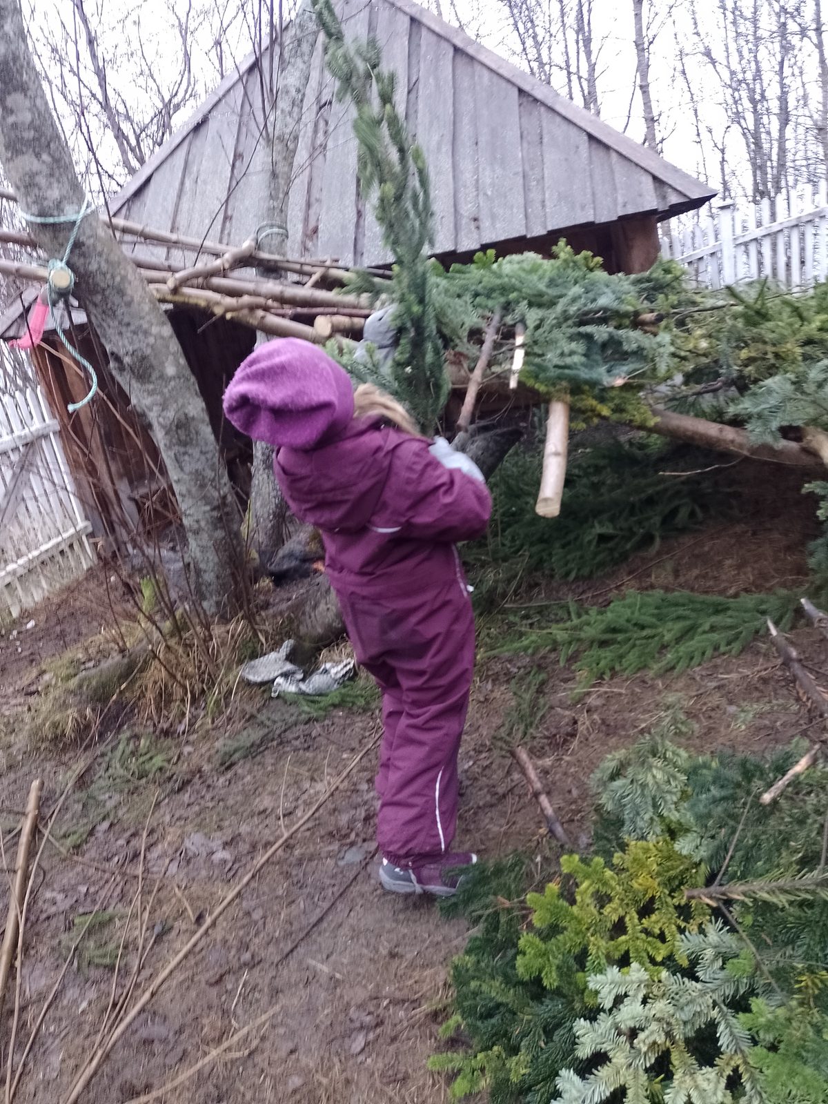 Barn legger granbar på taket av gapahuken