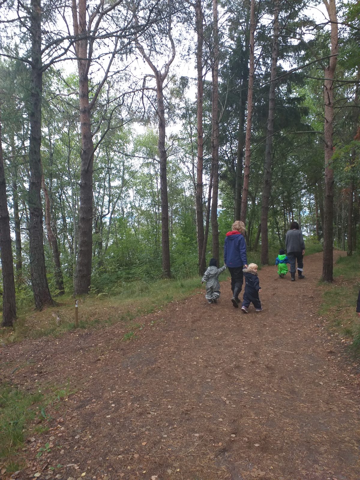 Barn og voksne på tur langs skogstien