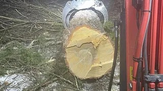 Gripeklo på gravemaskin som håndterer en tømmerstokk