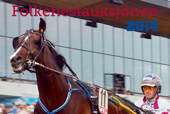 folkehest