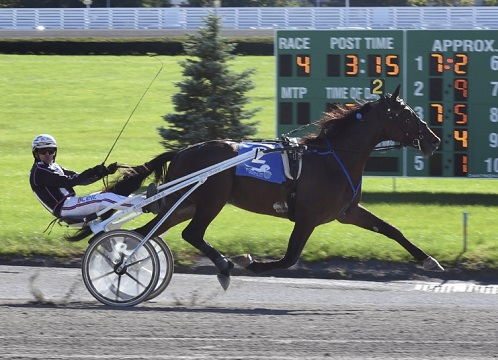 Papagayo E.