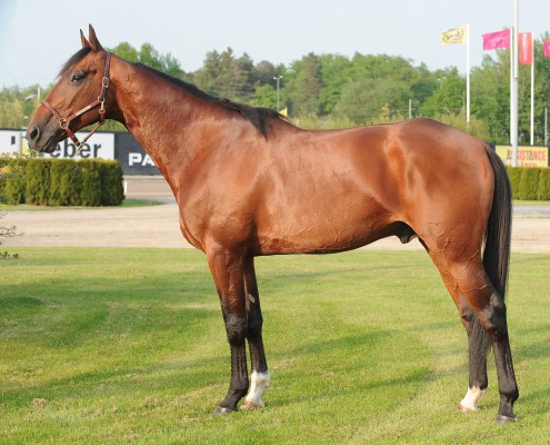 Timoko