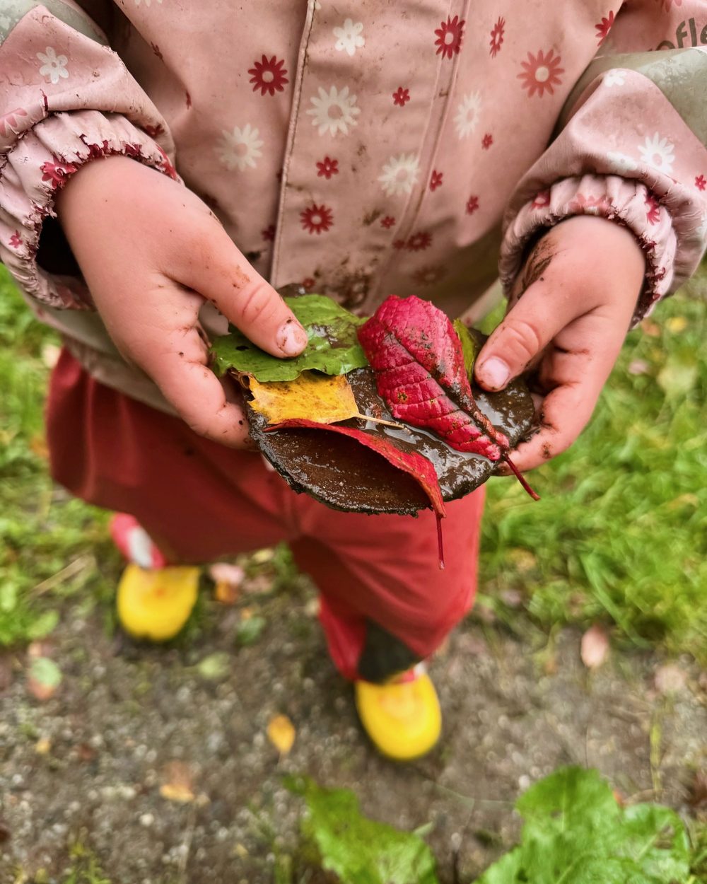 Barn holder fargerike høstblader